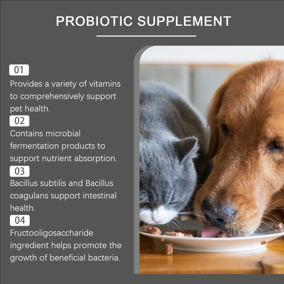 Pet Probiotic Chewable Tablets For Dogs & Cats Digestive Health Support, Immune Booster With Vitamin B2 & Yeast Selenium, 80 Tablets - Image 3