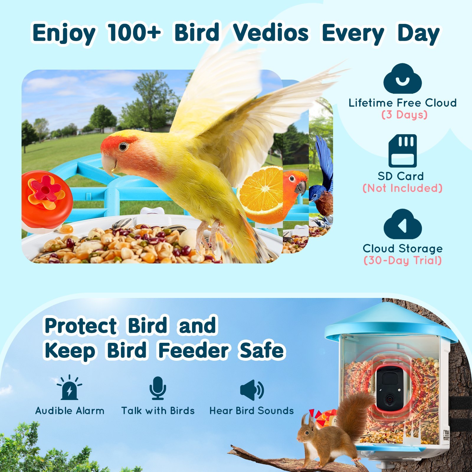 Smart Bird Feeder With Camera AI Identify 10000+ Bird Specie Solar-Powered - Image 5