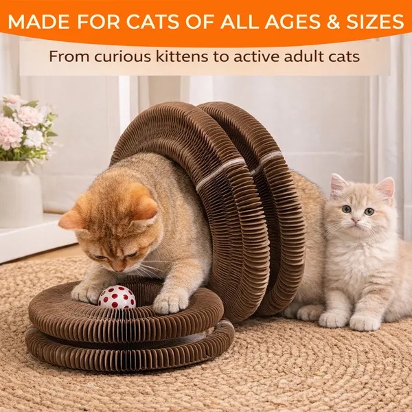 2PCS Kitty Curls Cat Toy - Foldable Accordion Cat Scratcher WithBall - Magic Organ Cat Scratch Board For Interactive Play -Calming Features - Image 6