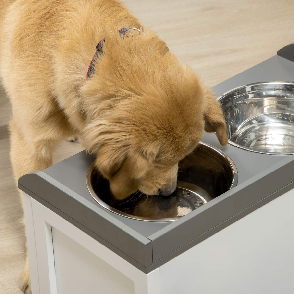 Pet Feeding Station Pet Dish Bowl Set with Storage, 2 Elevated Dog Bowls for Large Sized Dogs, White - Image 3