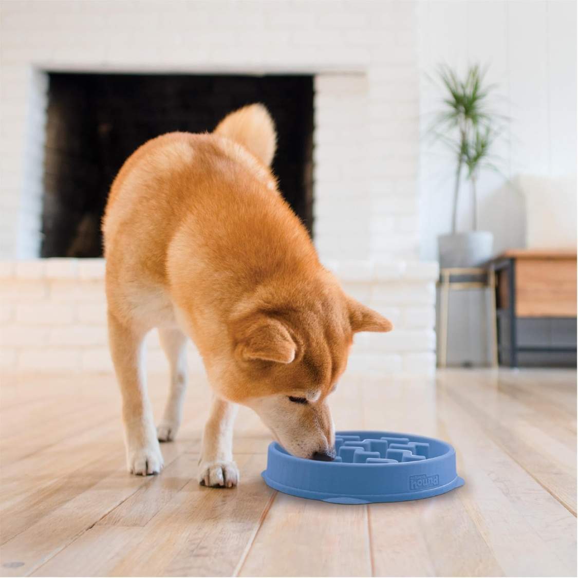 Feeder Slo Bowl Medium 2Cup Capacity, Slow Feeding, Small To Medium Dogs Cats, Non Slip, Blue, Notch Pattern - Image 6