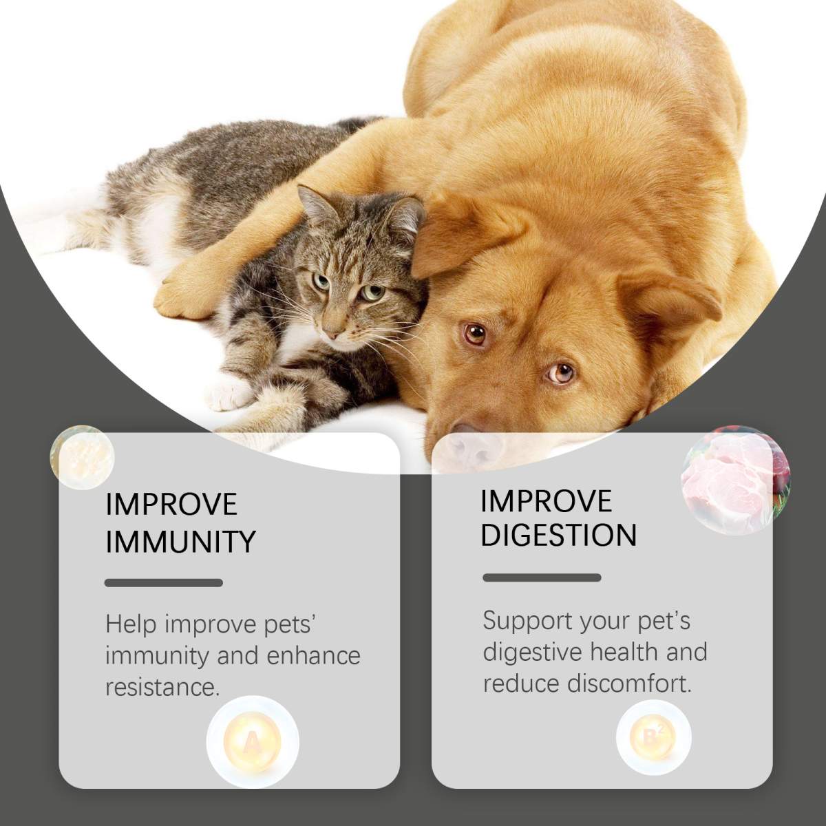 Pet Probiotic Chewable Tablets For Dogs & Cats Digestive Health Support, Immune Booster With Vitamin B2 & Yeast Selenium, 80 Tablets - Image 8