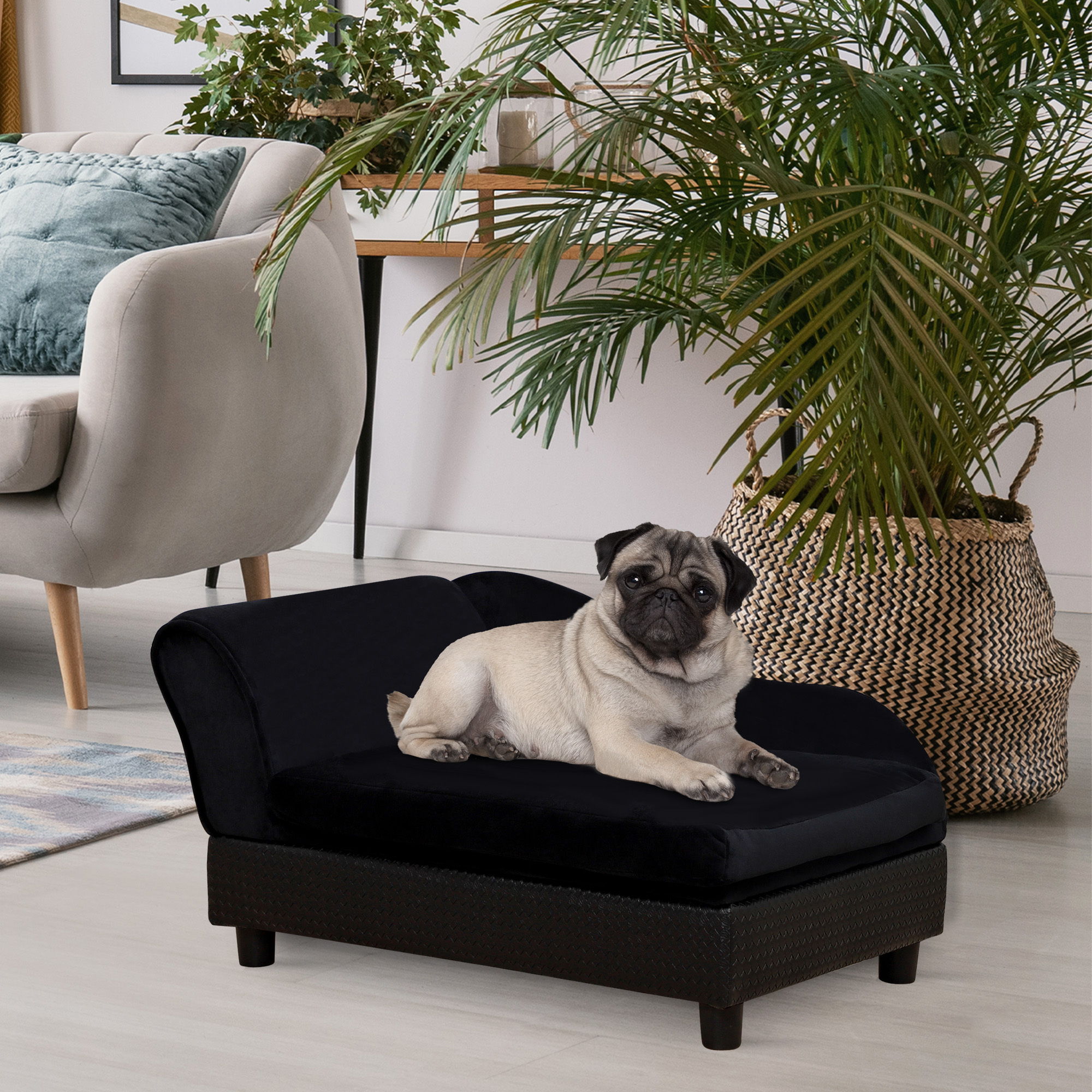Pet Sofa Bed Couch with Storage, Pet Sofa for Cats and Small Dogs, Black - Image 2