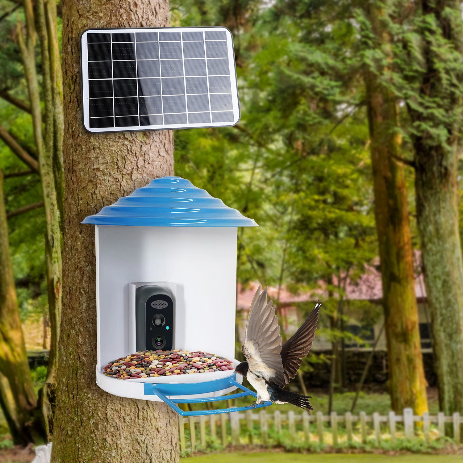 Smart Bird Feeder With Solar Powered Camera 1080P HD AI Identify PIR Motion Auto Capture Video Cloud Card Storage WiFi Connection App Control IP65 Waterproof - Image 6