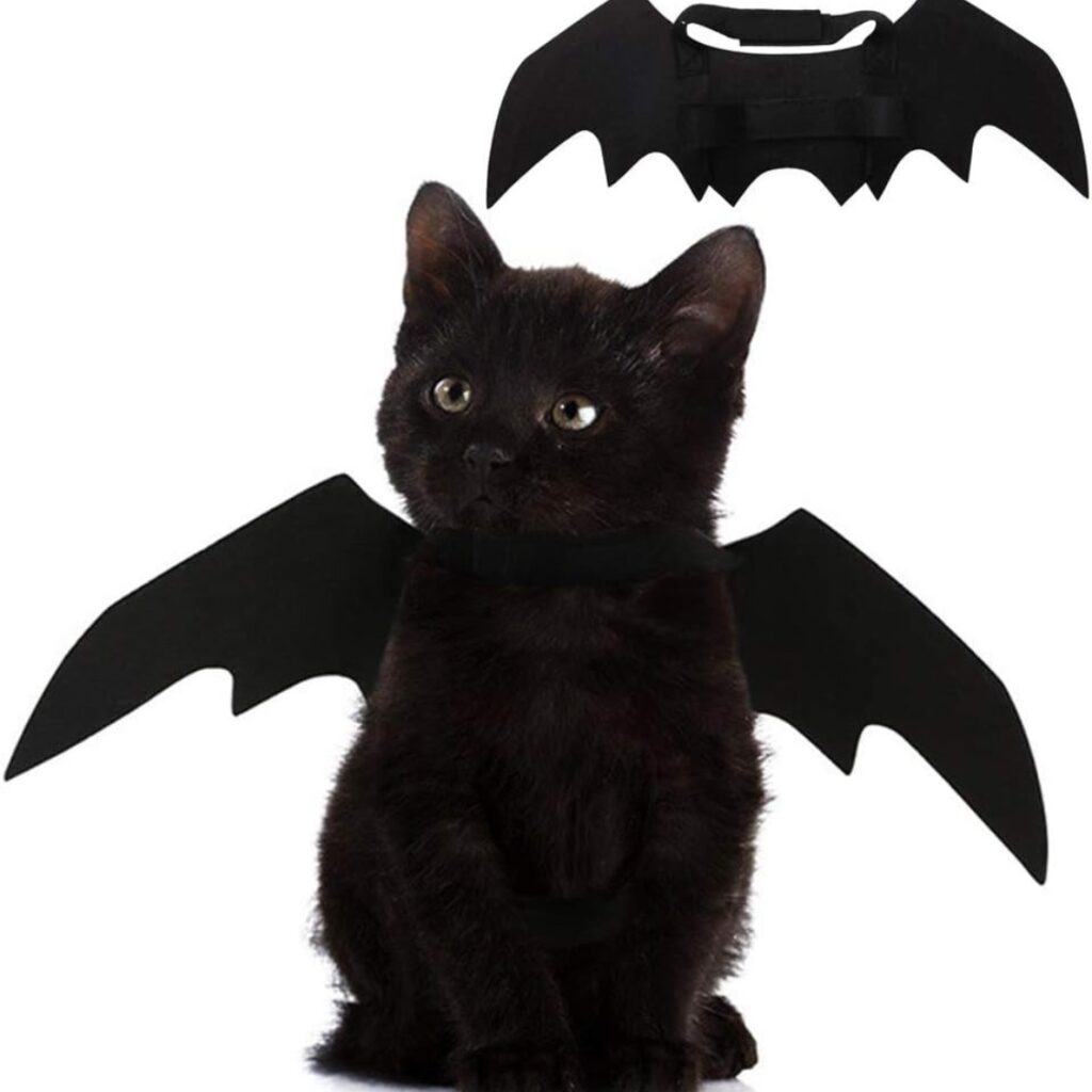 Pet Cat Bat Wings For Halloween Party Decoration, Puppy Collar Leads Cosplay Bat Costume,Cute Puppy Cat Dress Up Accessories