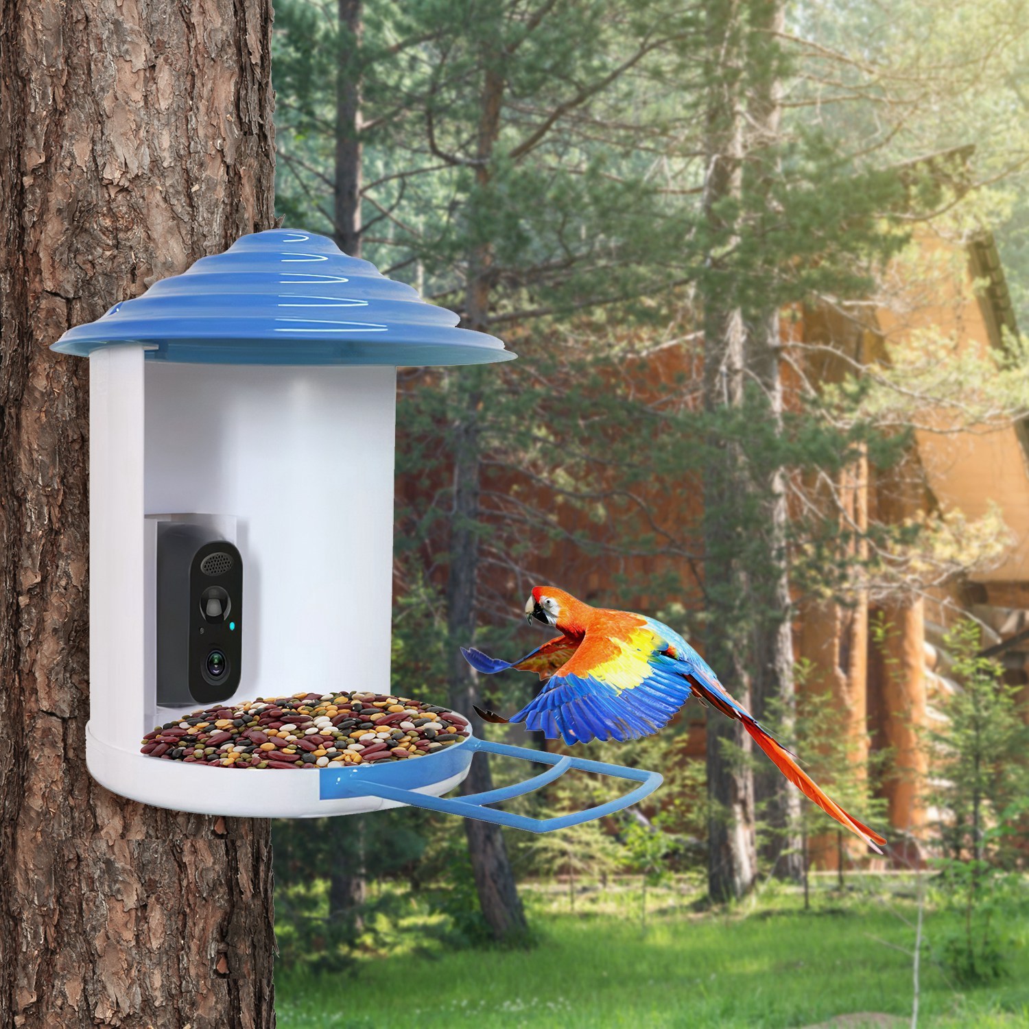 Smart Bird Feeder With Solar Powered Camera 1080P HD AI Identify PIR Motion Auto Capture Video Cloud Card Storage WiFi Connection App Control IP65 Waterproof - Image 7