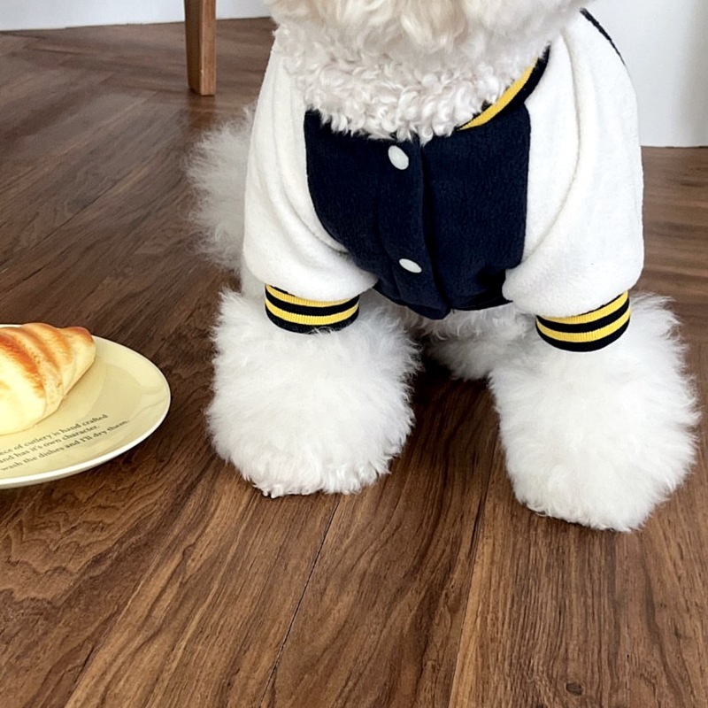 Simple Printed Autumn Pet Baseball Uniform - Image 5